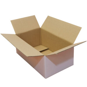 WHITE Single-Wall Cardboard Carton - 270mm x 160mm x 100mm | Qty: 25 Cartons