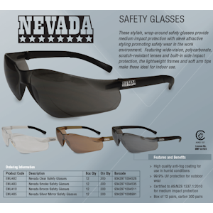 Nevada Silver Mirror Safety Glasses 12 Glasses/Box