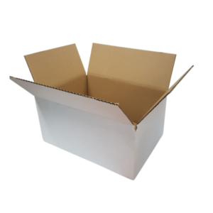 WHITE Single-Wall Cardboard Carton - 310mm x 220mm x 145mm